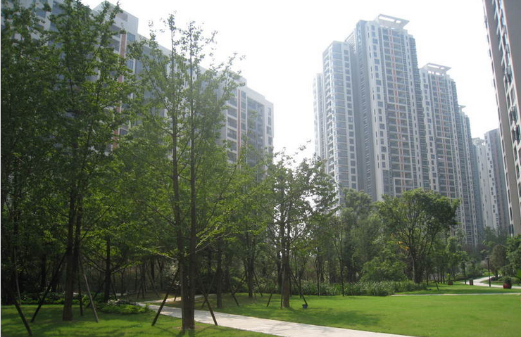 重慶龍湖觀山水