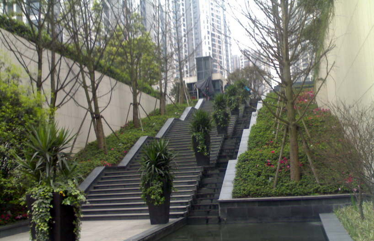 重慶龍湖觀山水