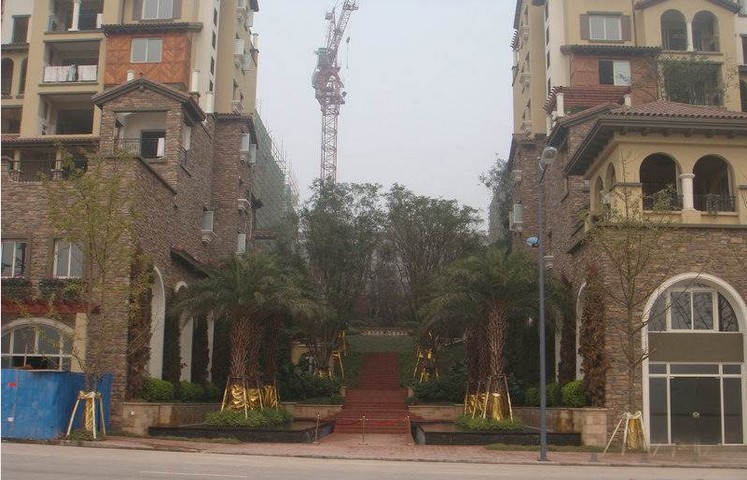 重慶龍湖花千樹(shù)