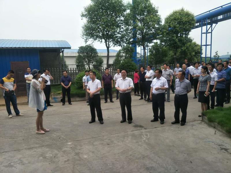 熱烈歡迎湖北當(dāng)陽市委市政府考察團(tuán)來辰旺生產(chǎn)基地進(jìn)行考察