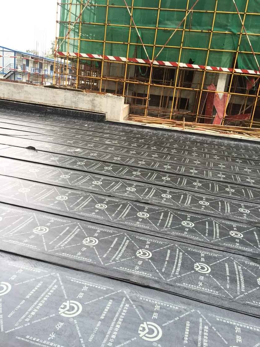 重慶龍湖拉特芳斯